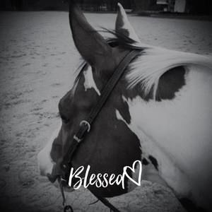 Meet your Posher, Peggy